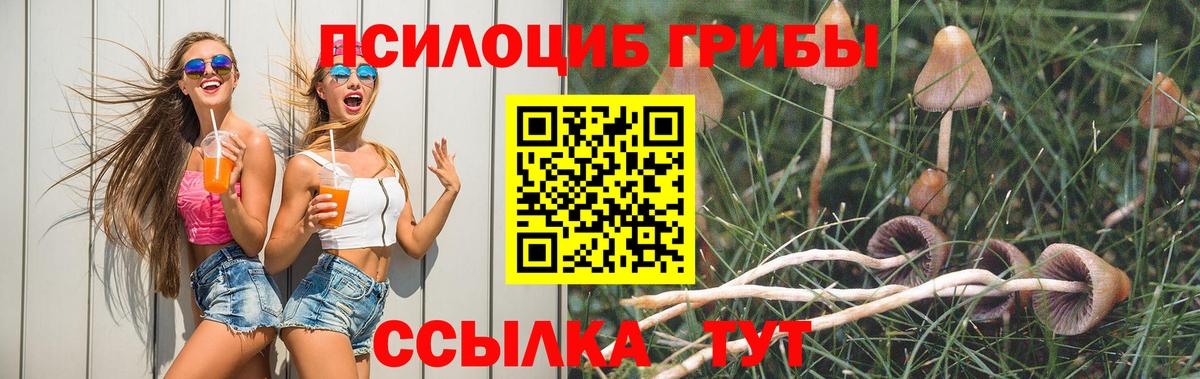 Галлюциногенные грибы мухоморы Междуреченск