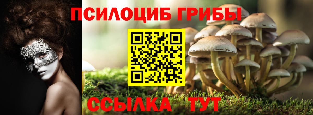 Междуреченск  хочу   Вход с VPN  Галлюциногенные грибы мухоморы 